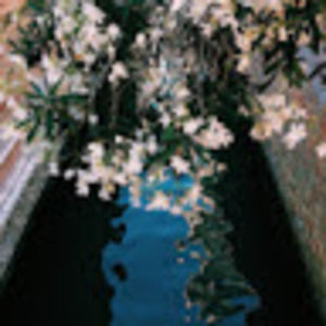 Meet your Posher, Kerry